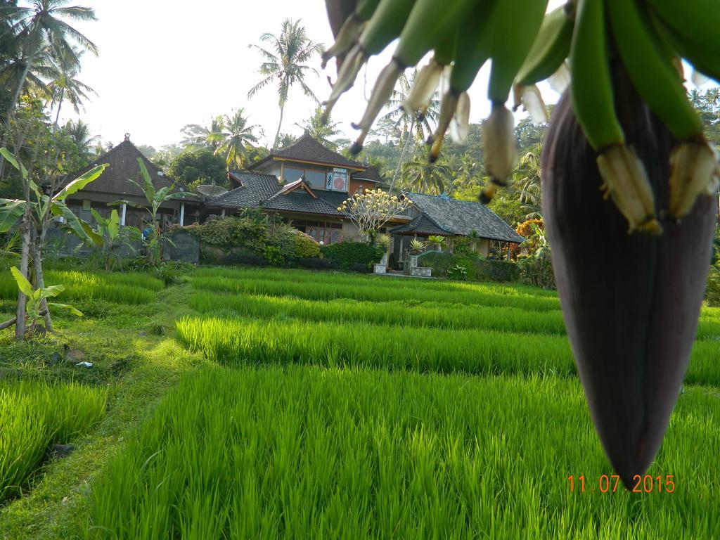 Dau Homestay Karangasem Exteriér fotografie